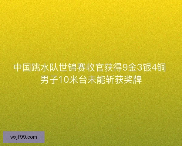 中国跳水队世锦赛收官获得9金3银4铜 男子10米台未能斩获奖牌