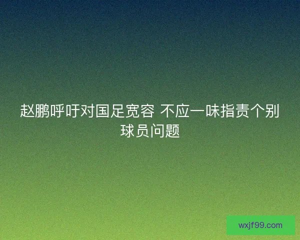 赵鹏呼吁对国足宽容 不应一味指责个别球员问题